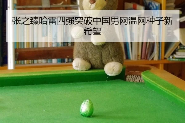 张之臻哈雷四强突破中国男网温网种子新希望
